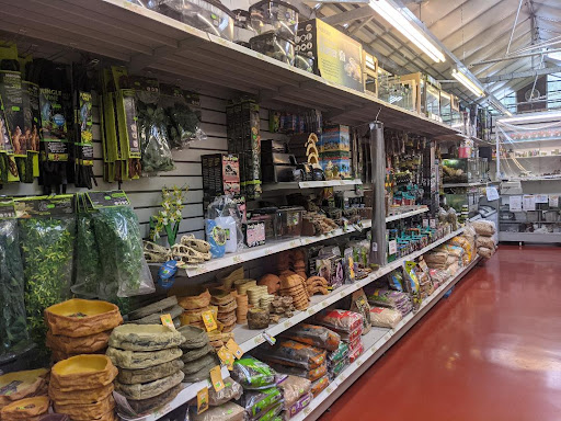 Markham Pet Centre - Visual