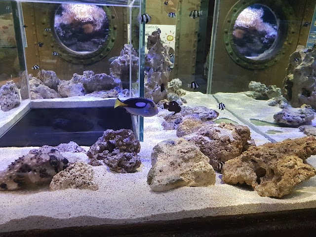Aquarium d'Amnéville