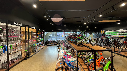 My Ride Narrabeen Gallery - Australia