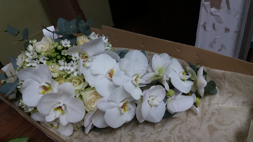 Orchideaischia - Thumbnail
