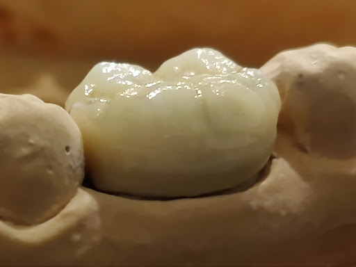 الدكتور شهدي سعد الدين - صورة 6