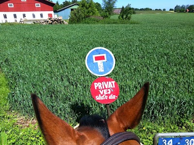 Photos of FerieRytter
