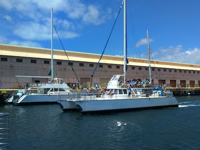 Blue Dolphin Charters