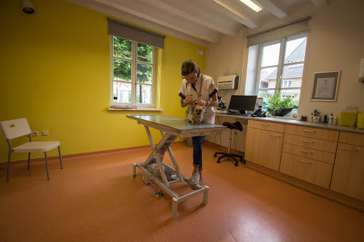 Dierenkliniek Hoogveld Roermond - Thumbnail