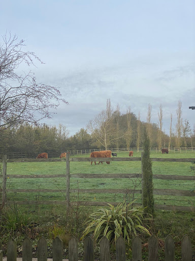 Honeywood Farm - Thumbnail