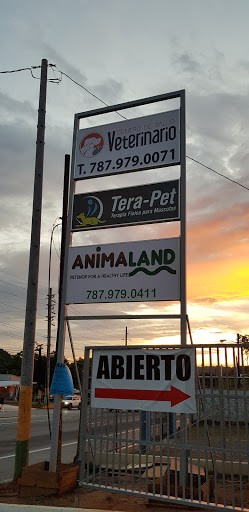 Centro De Salud Veterinario - Thumbnail