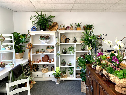 Plant Presents - Thumbnail