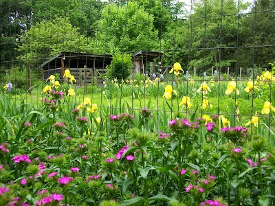 Garden of Eden Cabins