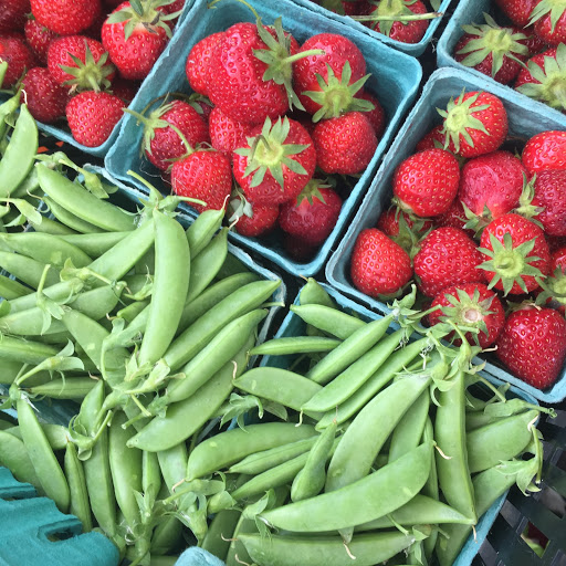 West Stockbridge Farmers Market Gallery - United States