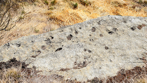 Monte Roccerè - Thumbnail