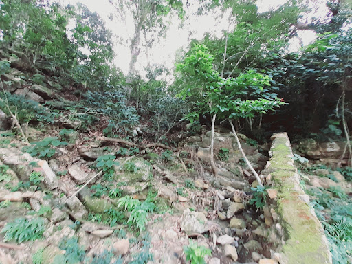 Atsontli - Thumbnail