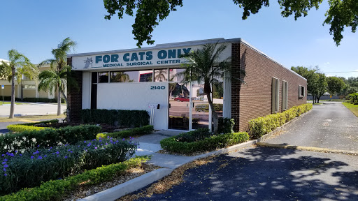For Cats Only - Visual