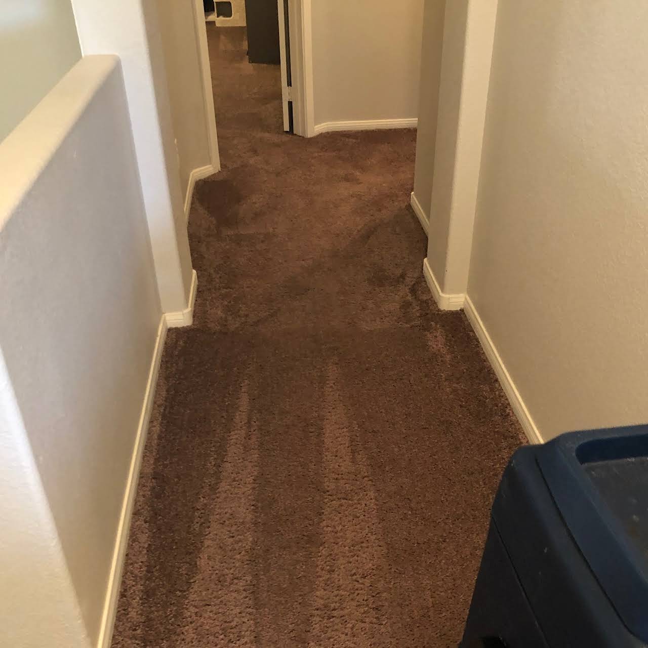 Ecodry Carpet Cleaning Henderson, NV Carpet Cleaning Service in Henderson