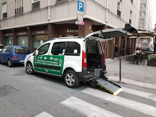 Tergeste Taxi Gallery - Italy