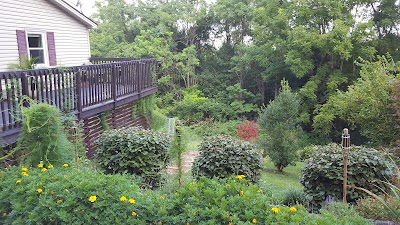 Photos of K9 Safari dog walking and pet sitting