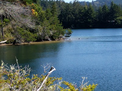 Jessie M. Honeyman Memorial State Park Campground