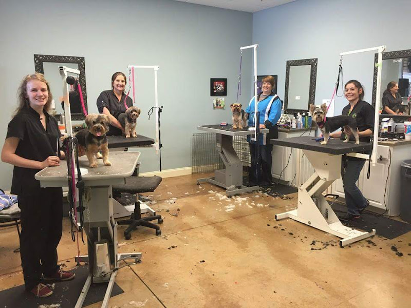 Bark Dog Spa & Boutique photo