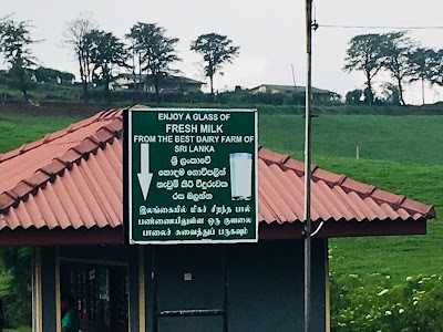 Photos of Farm Fresh