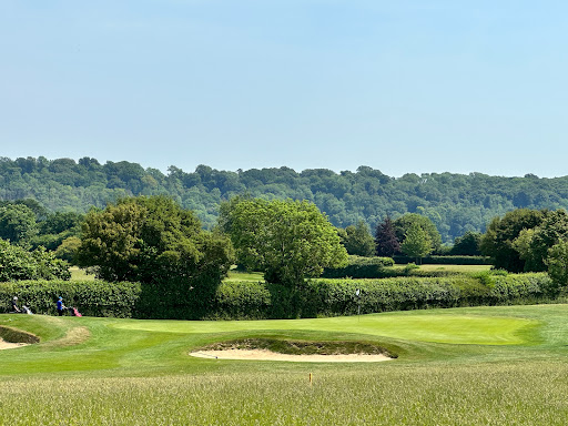 CHILTERNS NATURE - PITSTONE HILL NATURE RESERVE Gallery - United Kingdom
