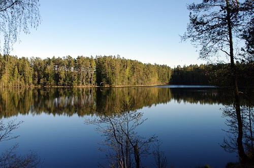 Paukjärve loodusrada