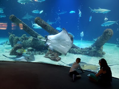 ABQ BioPark Aquarium