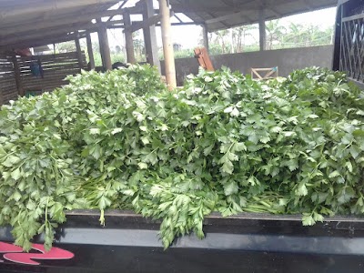 Photos of Gudang Sayur MJ