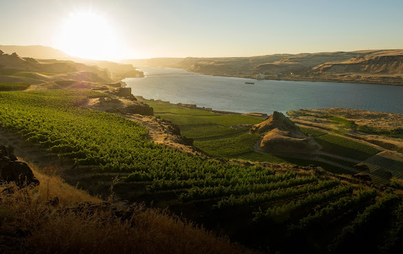 Maryhill Winery Goldendale Tasting Room & Bistro by null