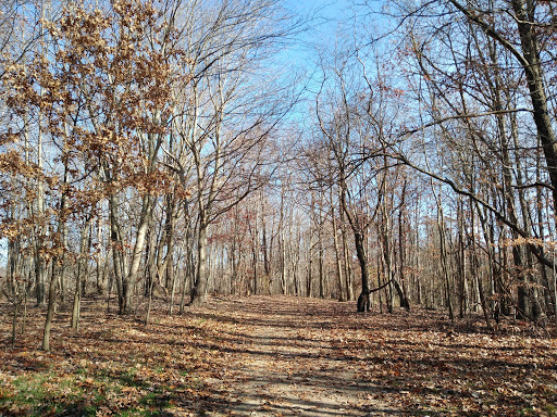 Sewickley Heights Borough Park - Thumbnail