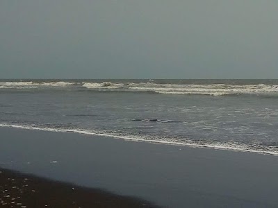 Photos of Tilapita