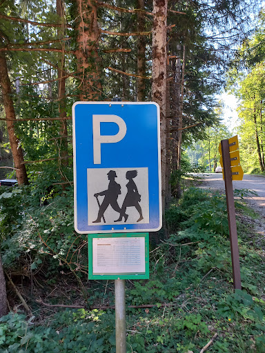 Streichenparkplatz - Visual