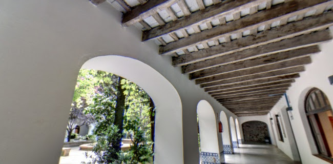 ÁNIMA- Bachillerato Tecnológico - Asociación