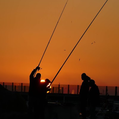 Photos of Erdek Municipality