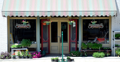 Stanfield's General Store - Visual