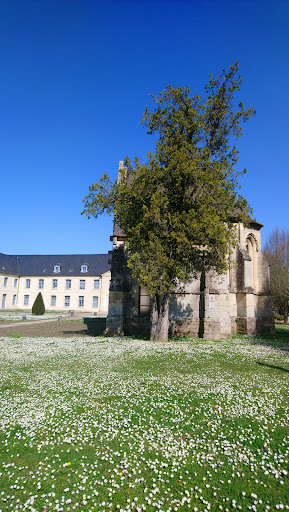 Abbaye de Montreuil - Thumbnail