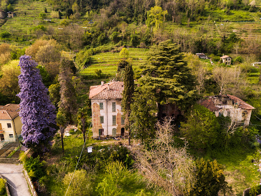 Il Glicine di Olgiate - Thumbnail