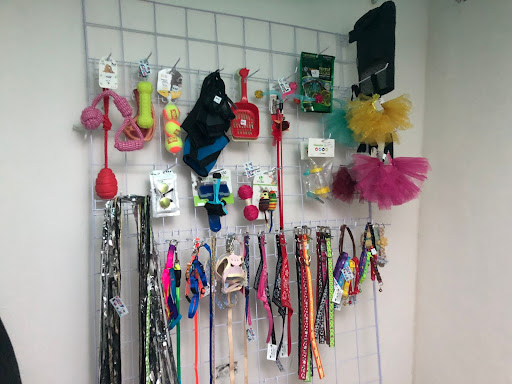 Petshop Esfinge