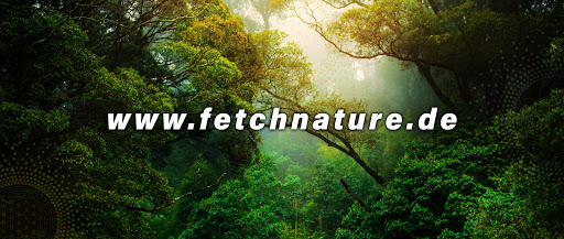 FetchNature - Visual