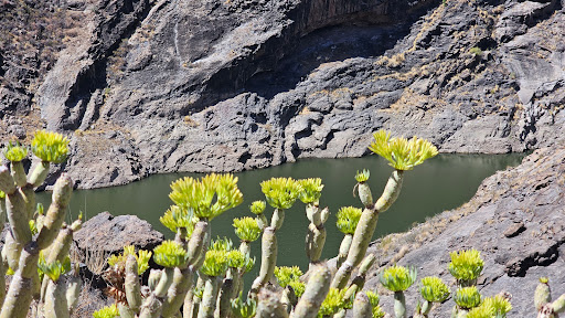 Presa Caidero de la Niña - Thumbnail