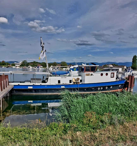 Rheinmünster-Söllingen - Thumbnail