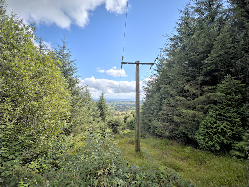 Iniscarn Forest - Thumbnail