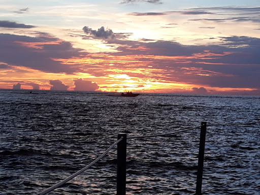 Harvest Moon Charters