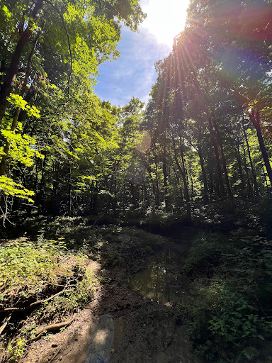 Timber Point Trail - Visual
