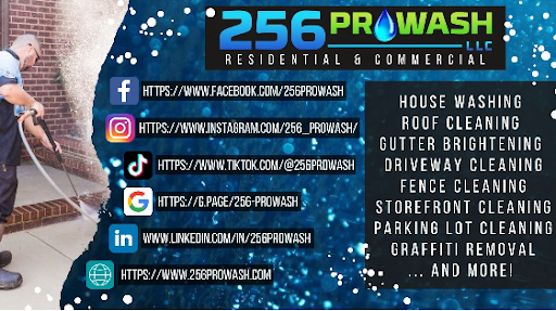 256 ProWash