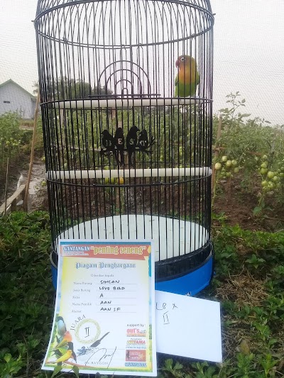 Photos of Nara Bird Farm