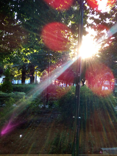 Centro de la Mujer de Almodóvar del Campo - Thumbnail
