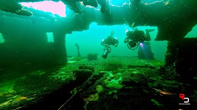 Photos of N.O.W. Dive
