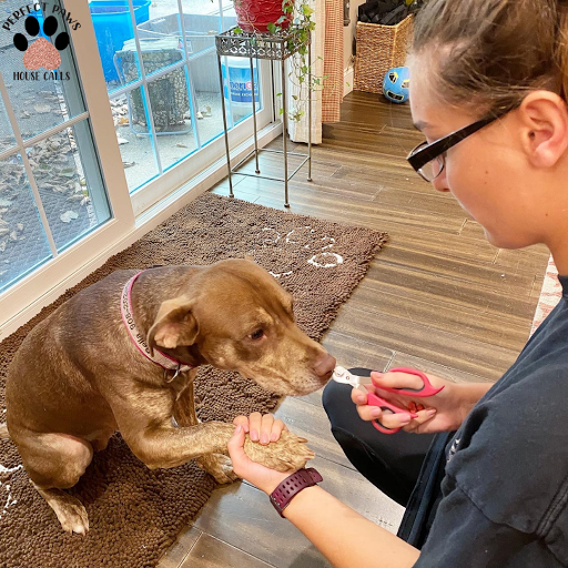 Perfect Paws House Calls Gallery - United States