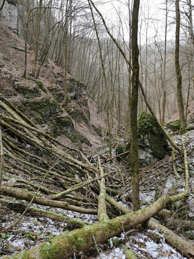Schreckenfels bei Grabenstetten - Thumbnail