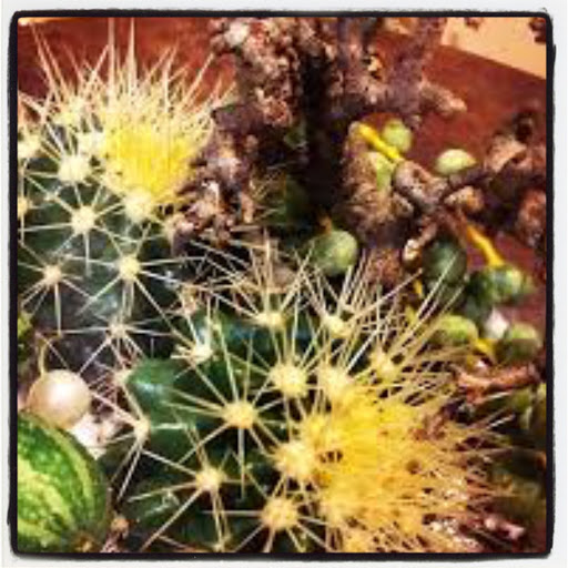 Mr. Riickert Bloem Groen Styling - Thumbnail