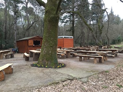 Photos of Bar igra prirode